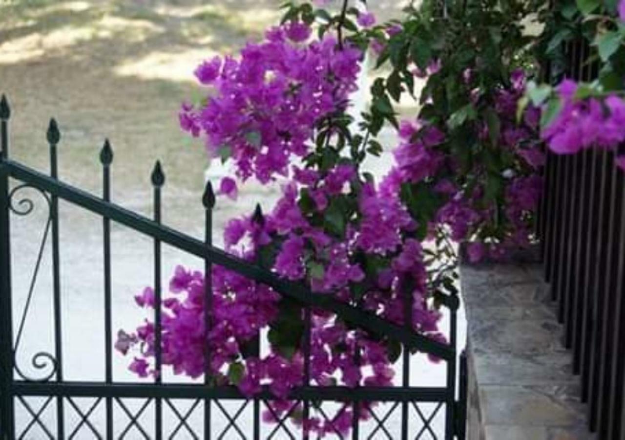 Vokamvilia Apartment & Studio Close To The Sea พลานอส ภายนอก รูปภาพ